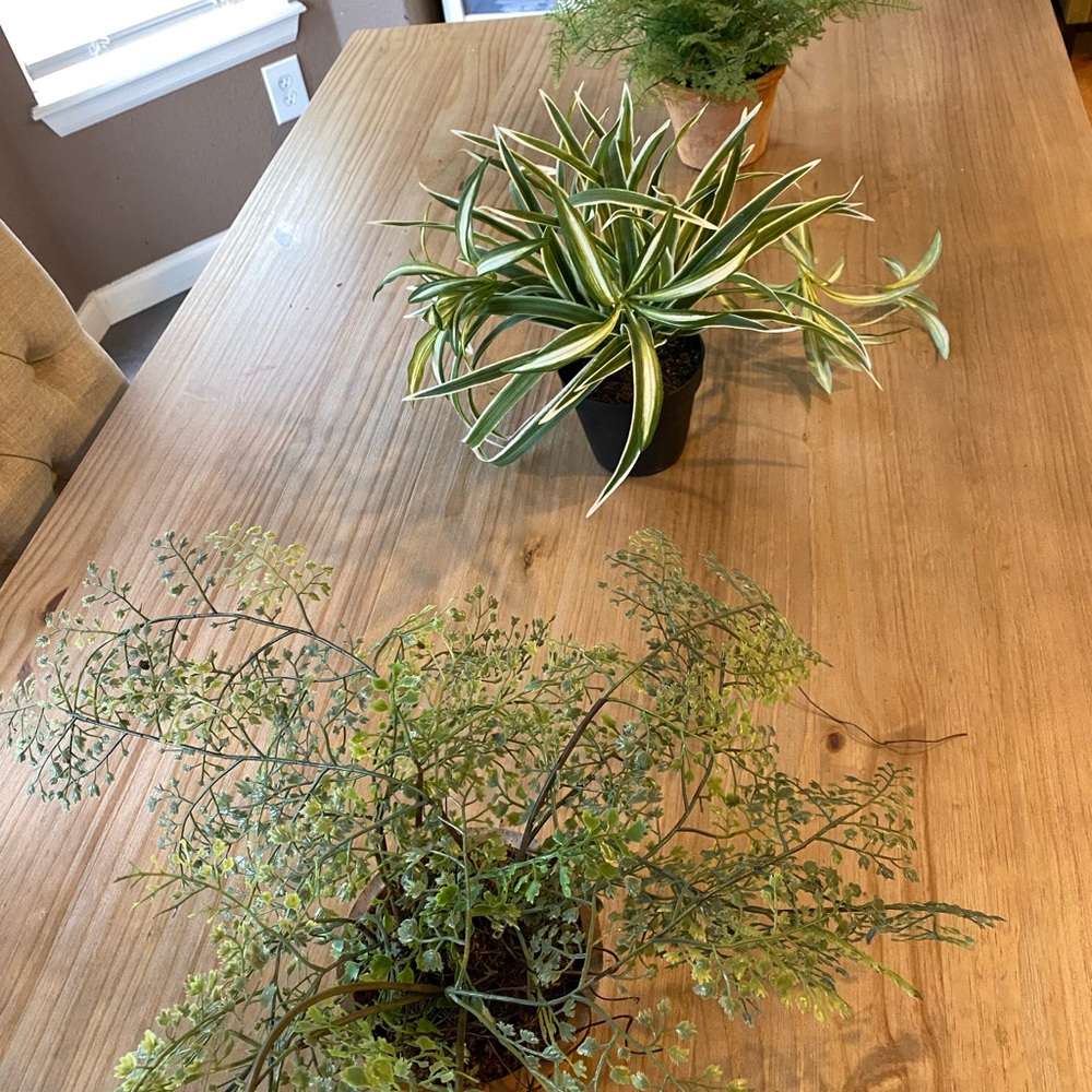 4 Pottery Barn Faux potted assorted foliages